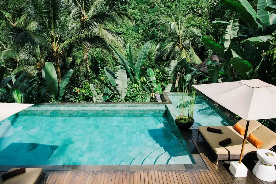 Una piscina tropical rodeada de plantas de selva y palmeras en Bali