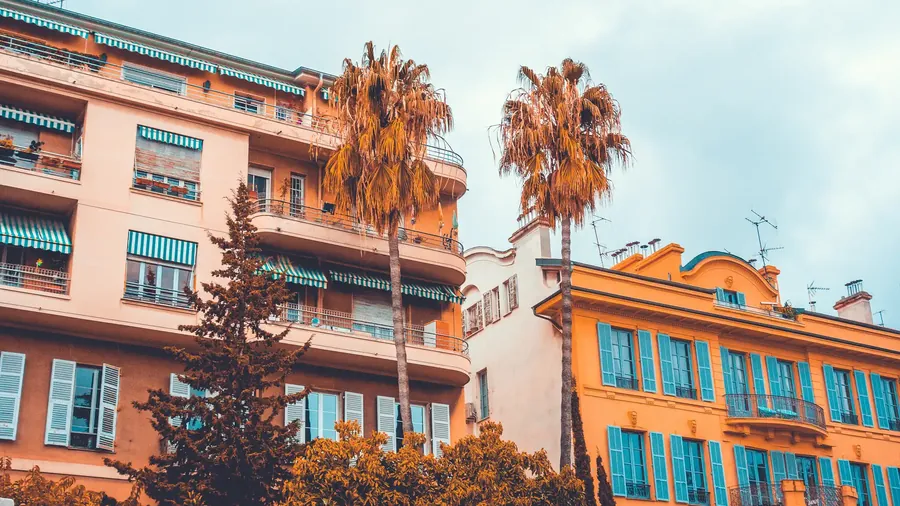 Edificios coloniales de colores con postigos de madera y una palmera alta