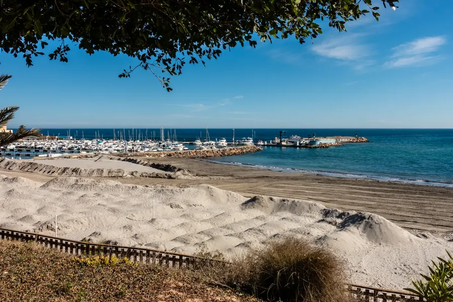 Una sola palmera alta en una playa de arena en Mil Palmeras bajo un cielo azul