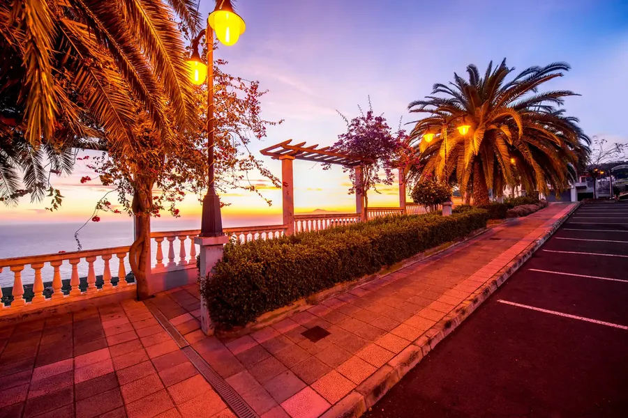 Un jardín subtropical con palmeras y flores sobre la costa atlántica