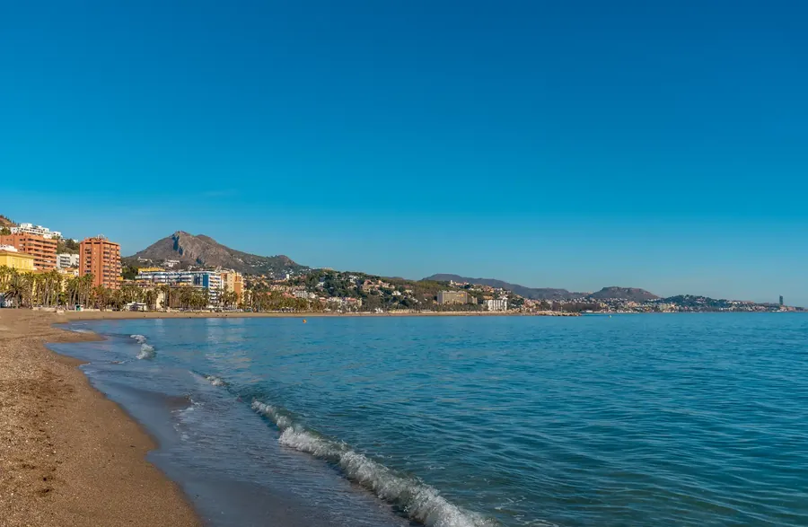 La playa de la Malagueta en Málaga con una hilera de palmeras altas y la ciudad detrás