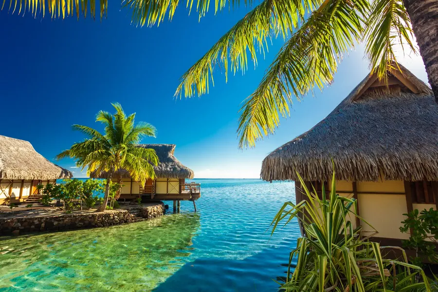 Bungalós sobre el agua en una laguna verde en Moorea con una hoja de palmera en primer plano