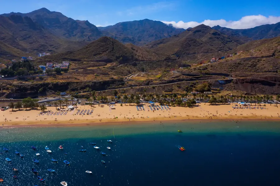 Vista aérea de una playa dorada bordeada de palmeras