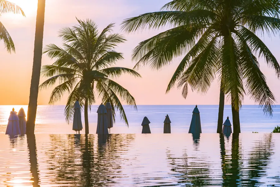 Siluetas de palmeras al atardecer sobre agua en calma